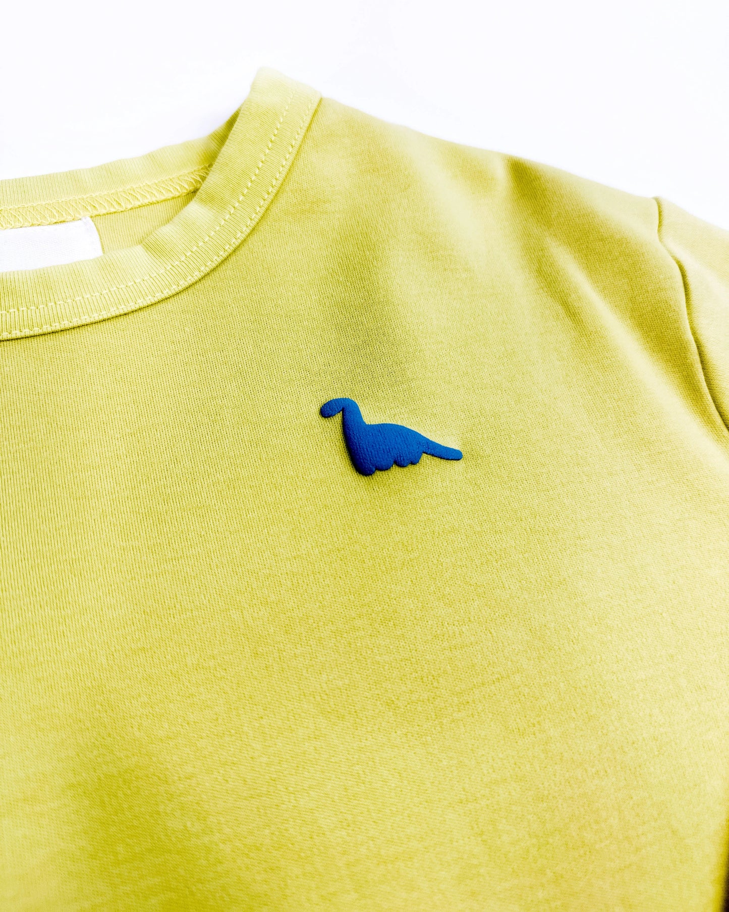 Oversized graphic longsleeve for kids in soft pistachio with back print and small dinosaur detail