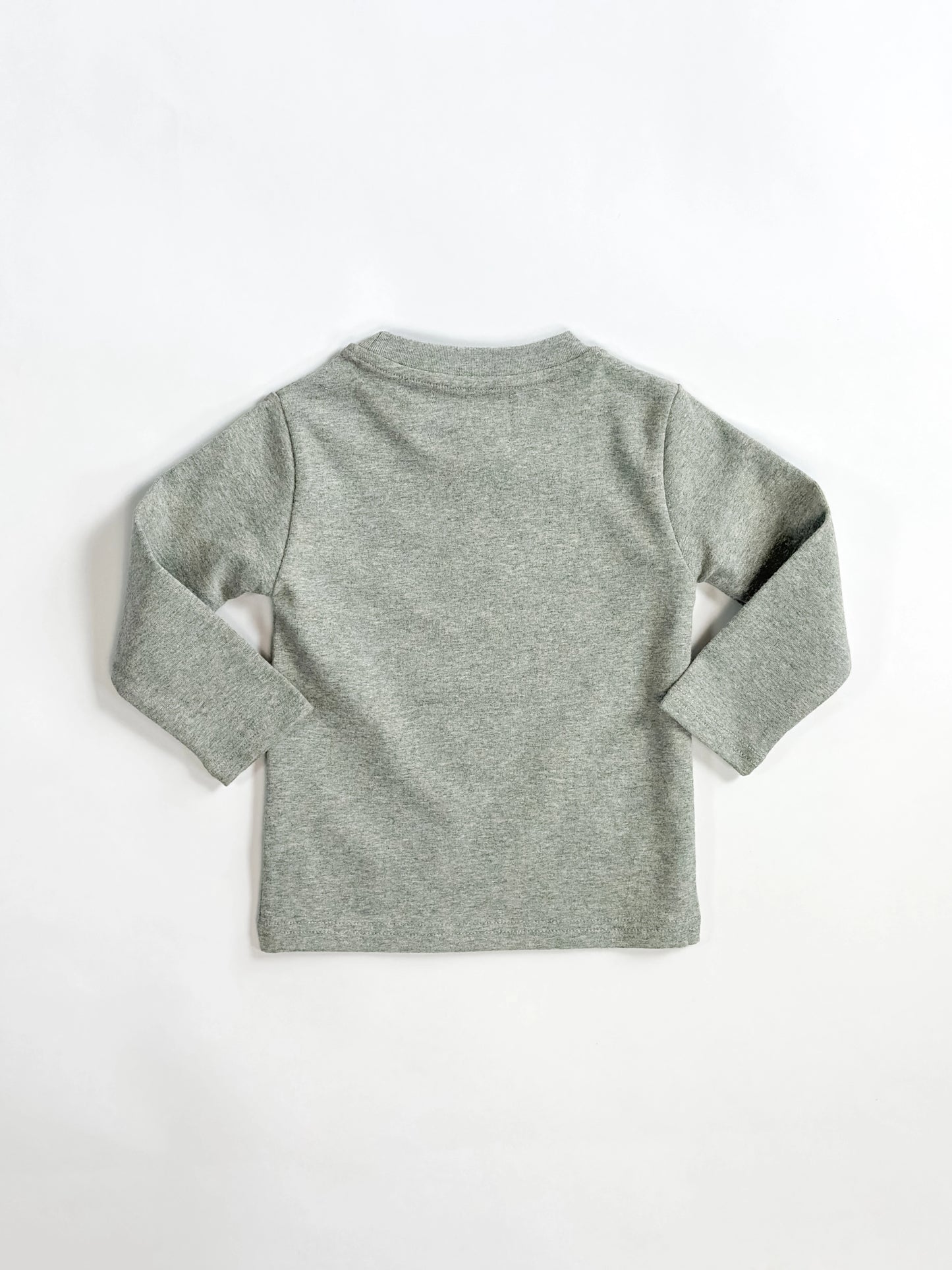 Gray long-sleeve shirt on a white background by L'aurel